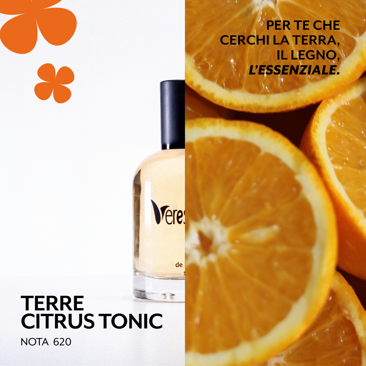 NOTA 620 - TERRE CITRUS TONIC
