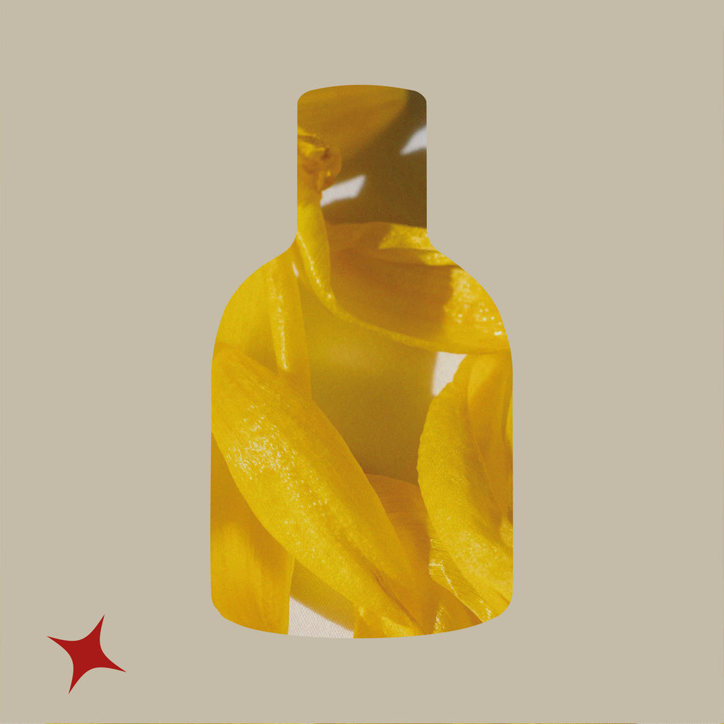 NOTA 425 - ANDROMEDA SILK