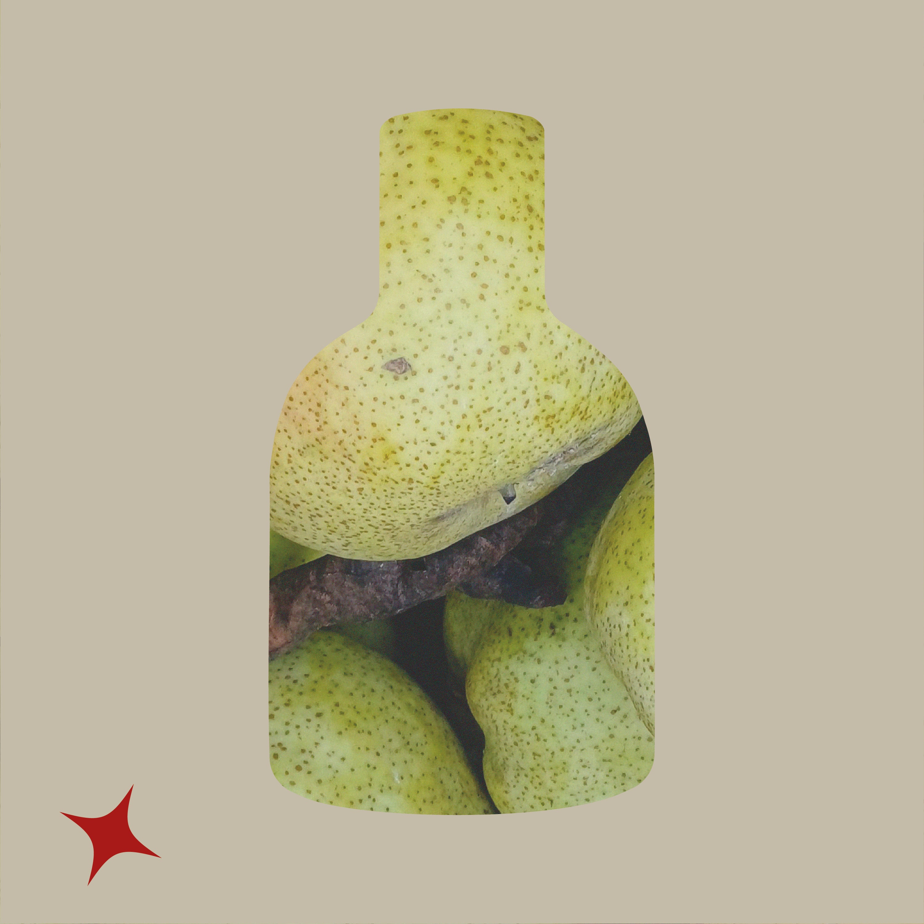 NOTA 438 - CELESTIAL GUIDE DRINK