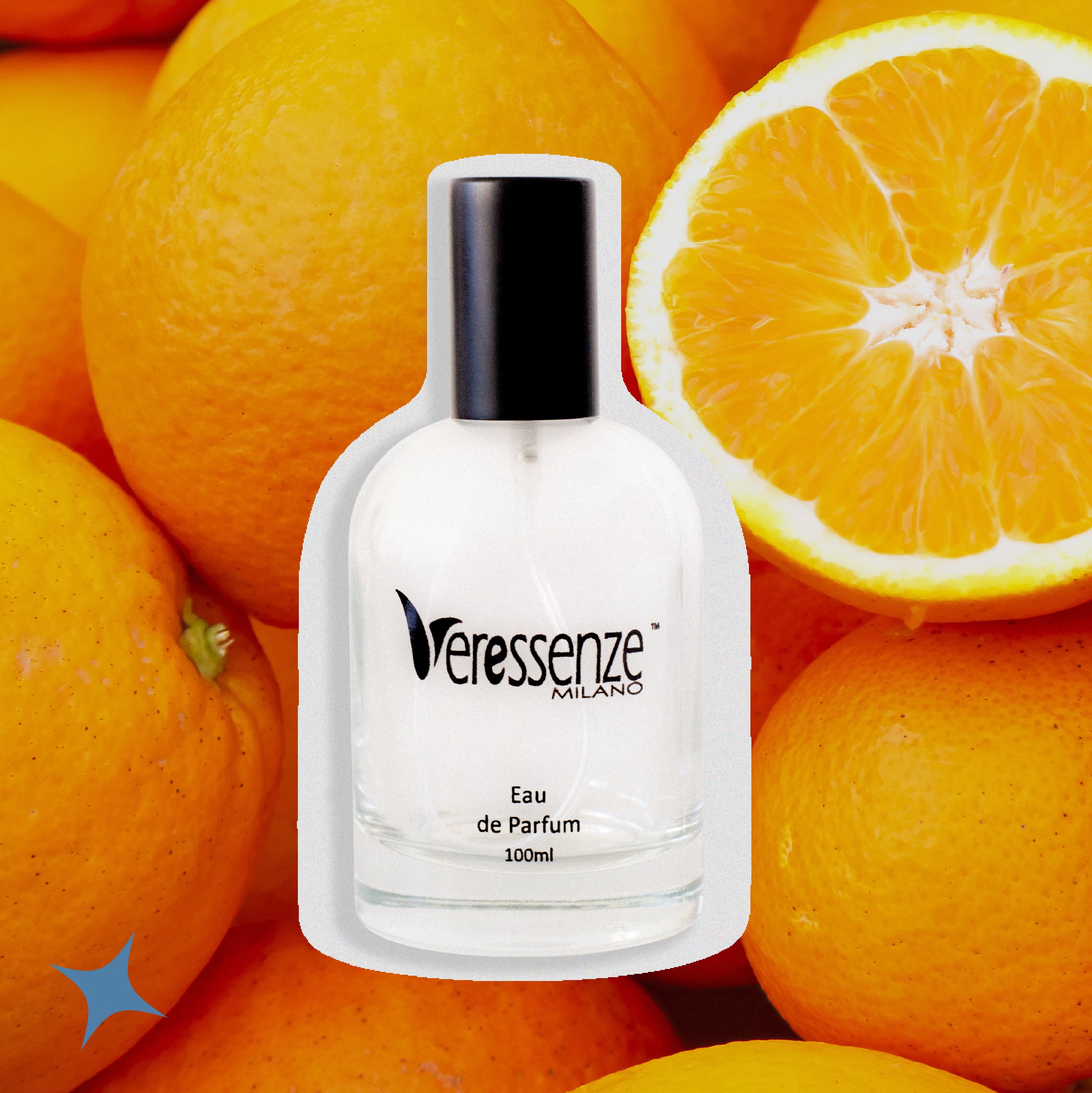 NOTA 561 - COLONIA SPRITZ