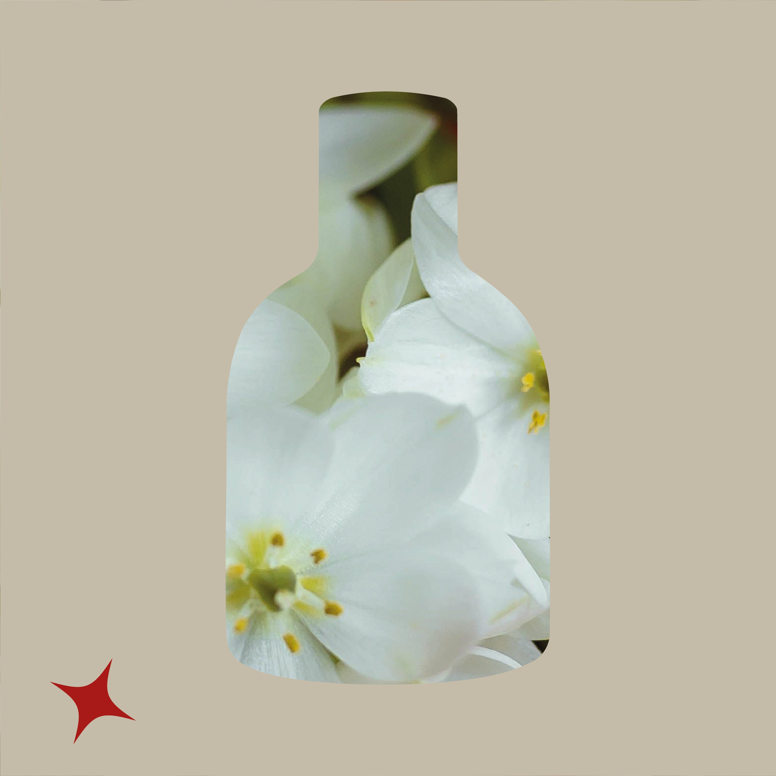 NOTA 401 - CARNAL FLOWER BLOOM