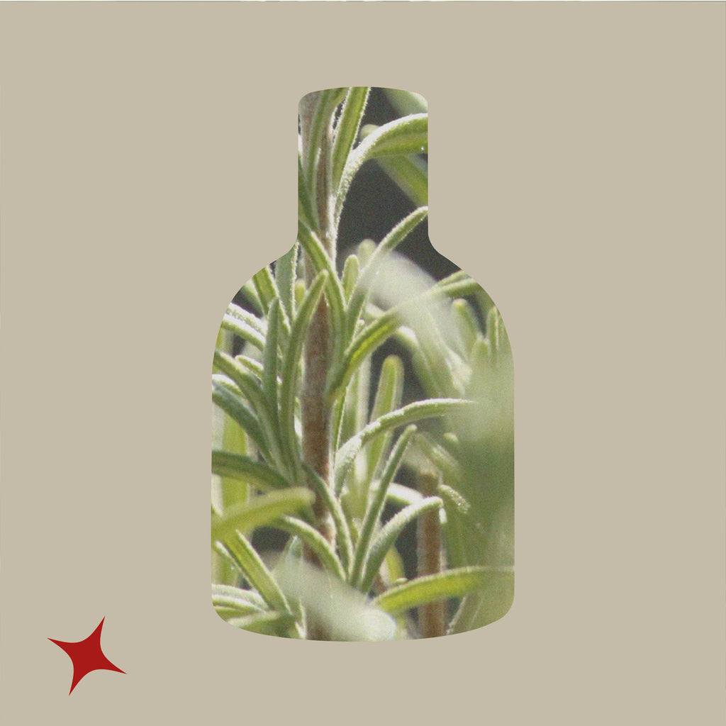 NOTA 414 - IMMENSITE SPRITZ