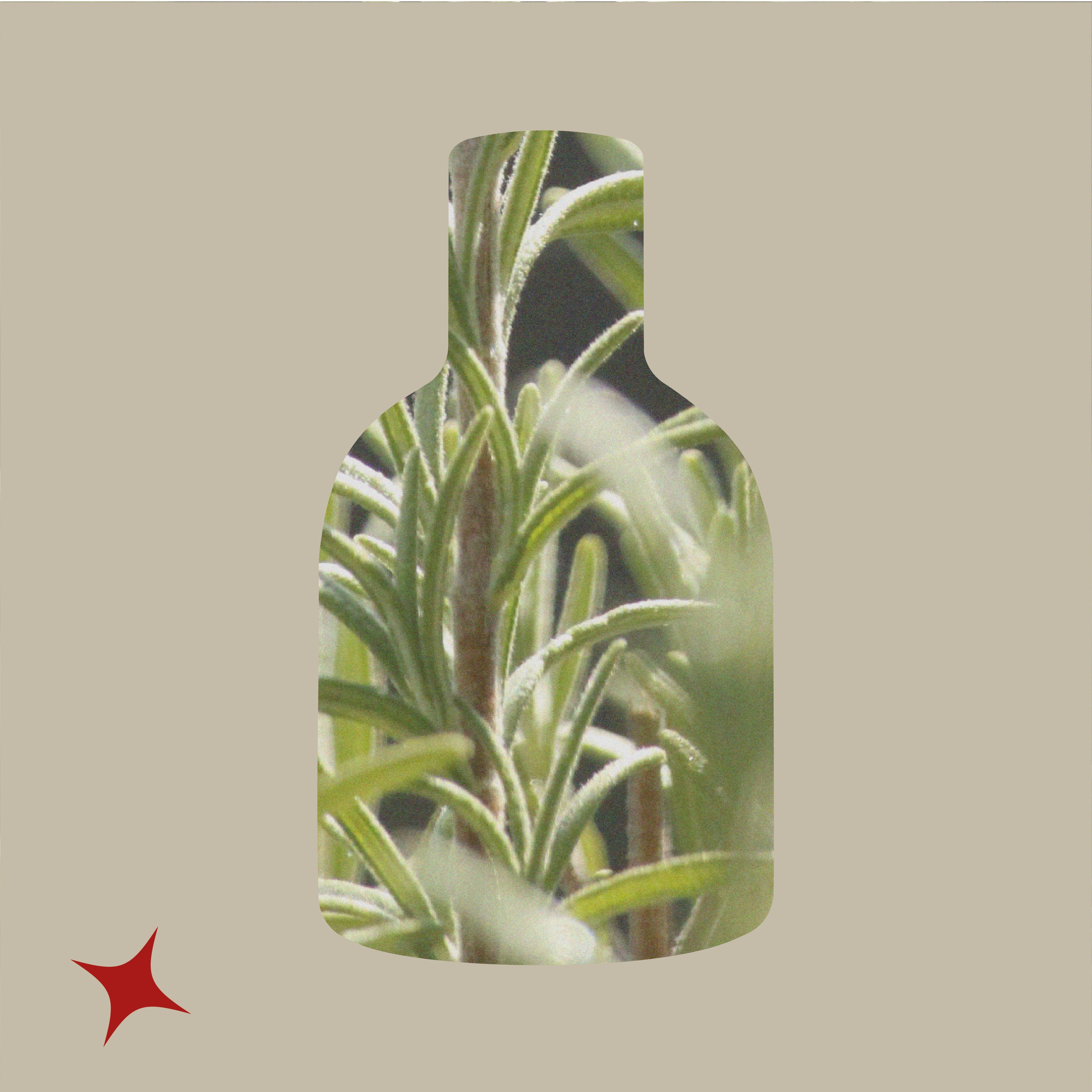 NOTA 414 - IMMENSITE SPRITZ