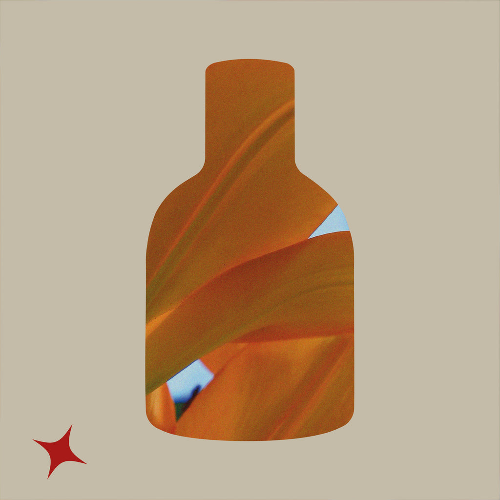 NOTA 402 - IRIS POUDRE