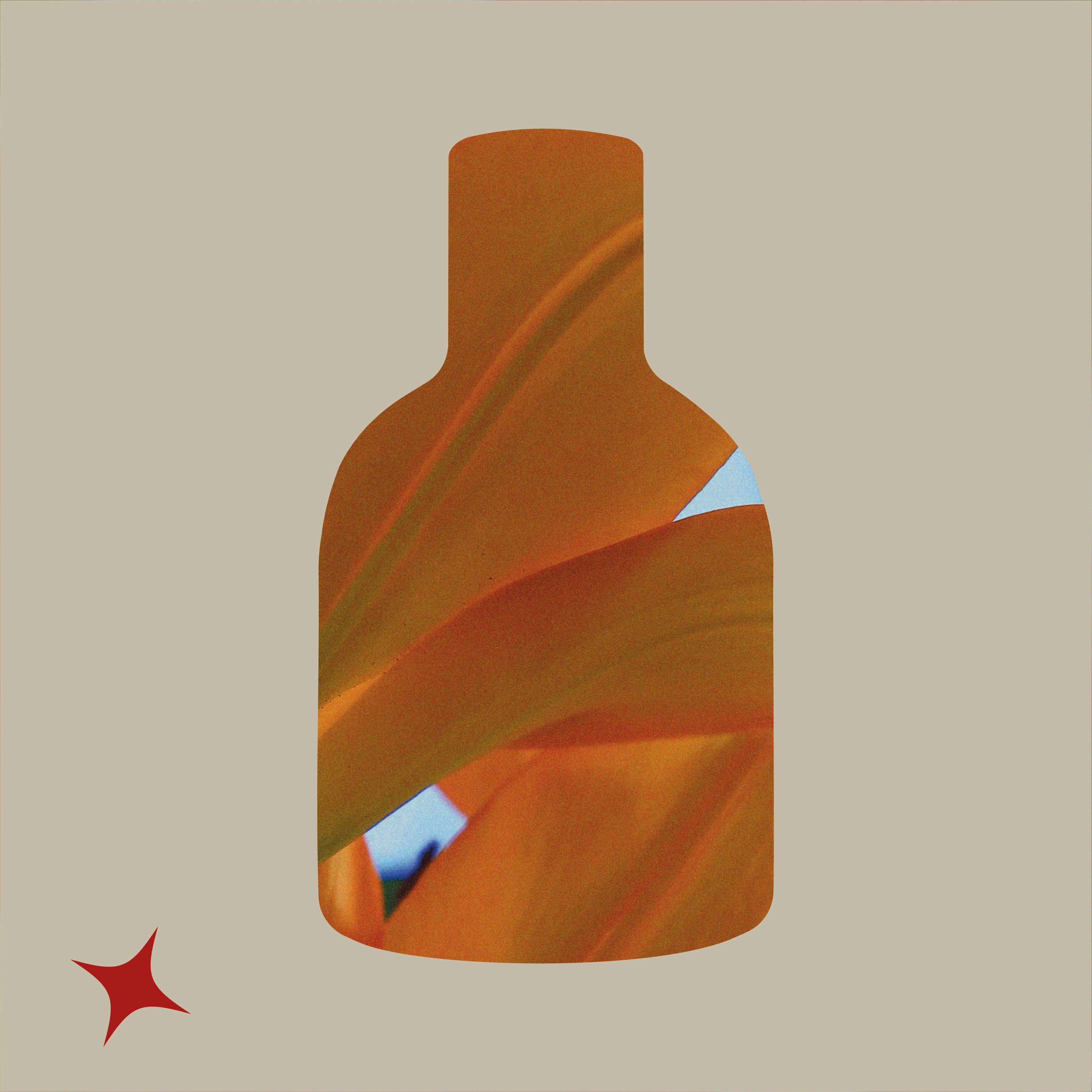 NOTA 402 - IRIS POUDRE