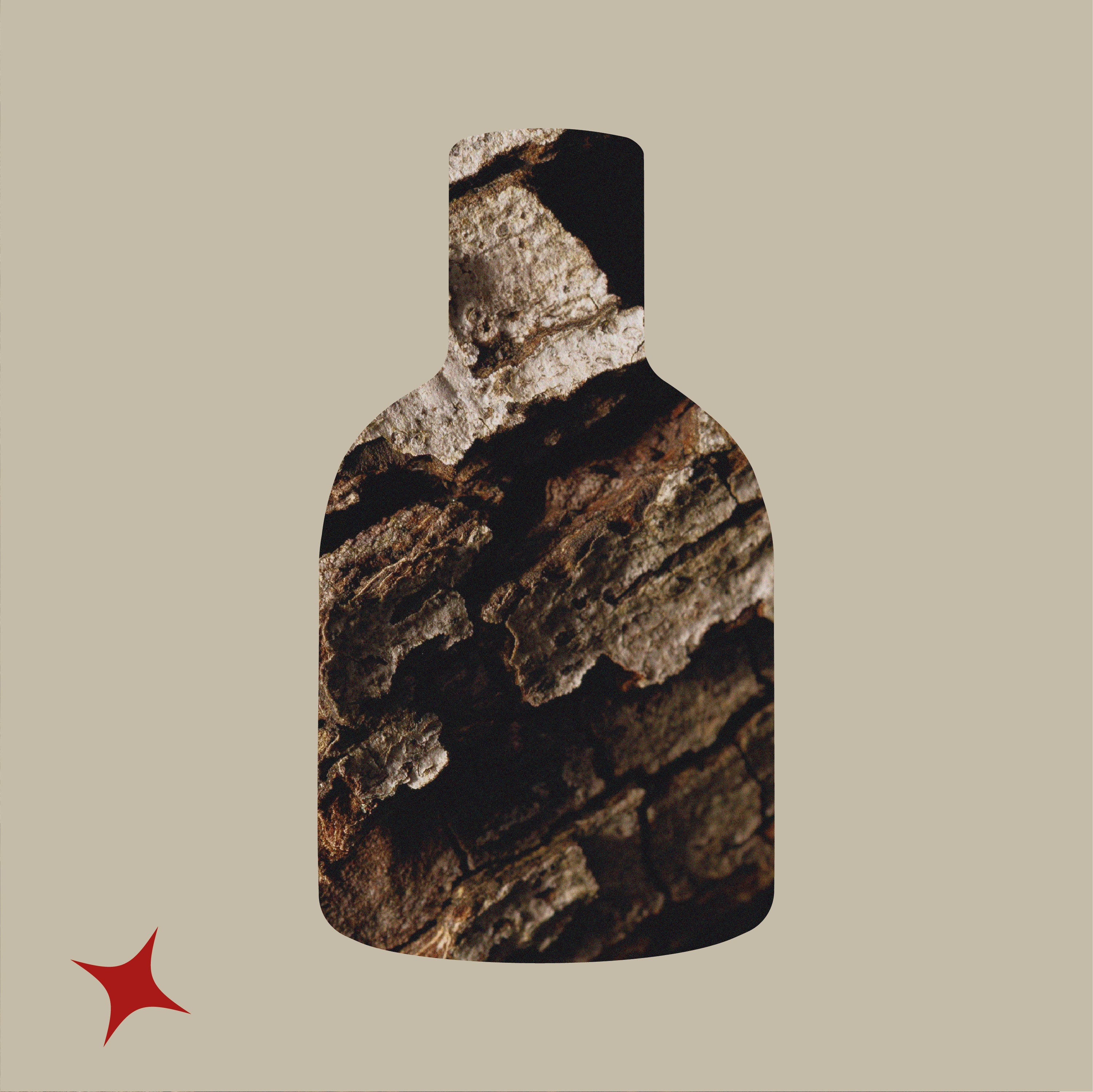 NOTA 445 - MARACUJA RUM