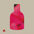 NOTA 672 - NOMADE RUM