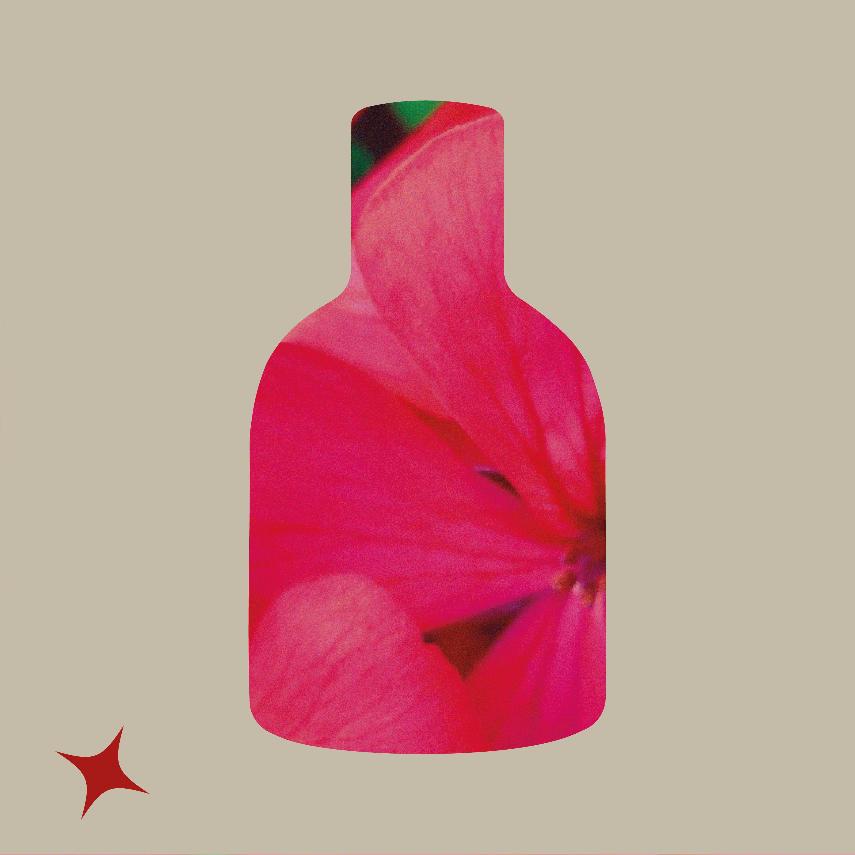 NOTA 672 - NOMADE RUM