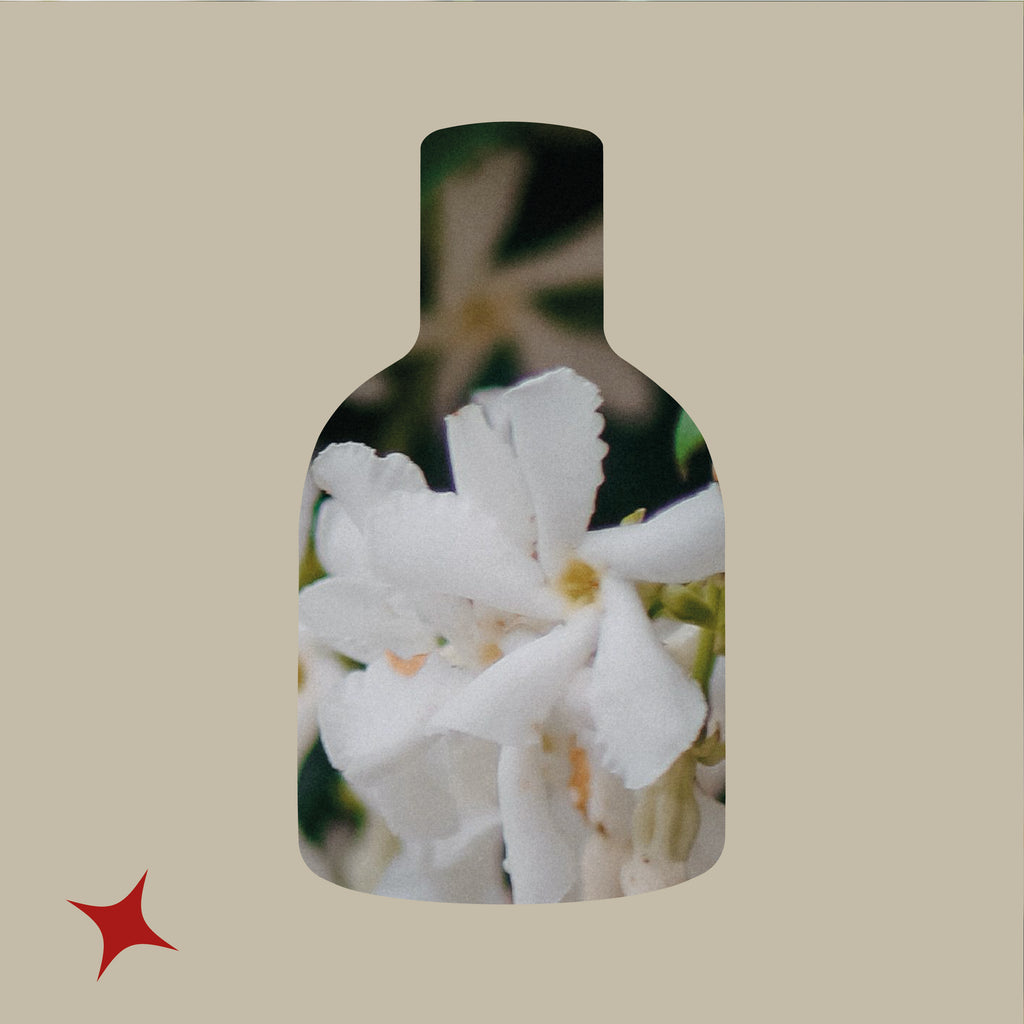 NOTA 452 - ORO RUM