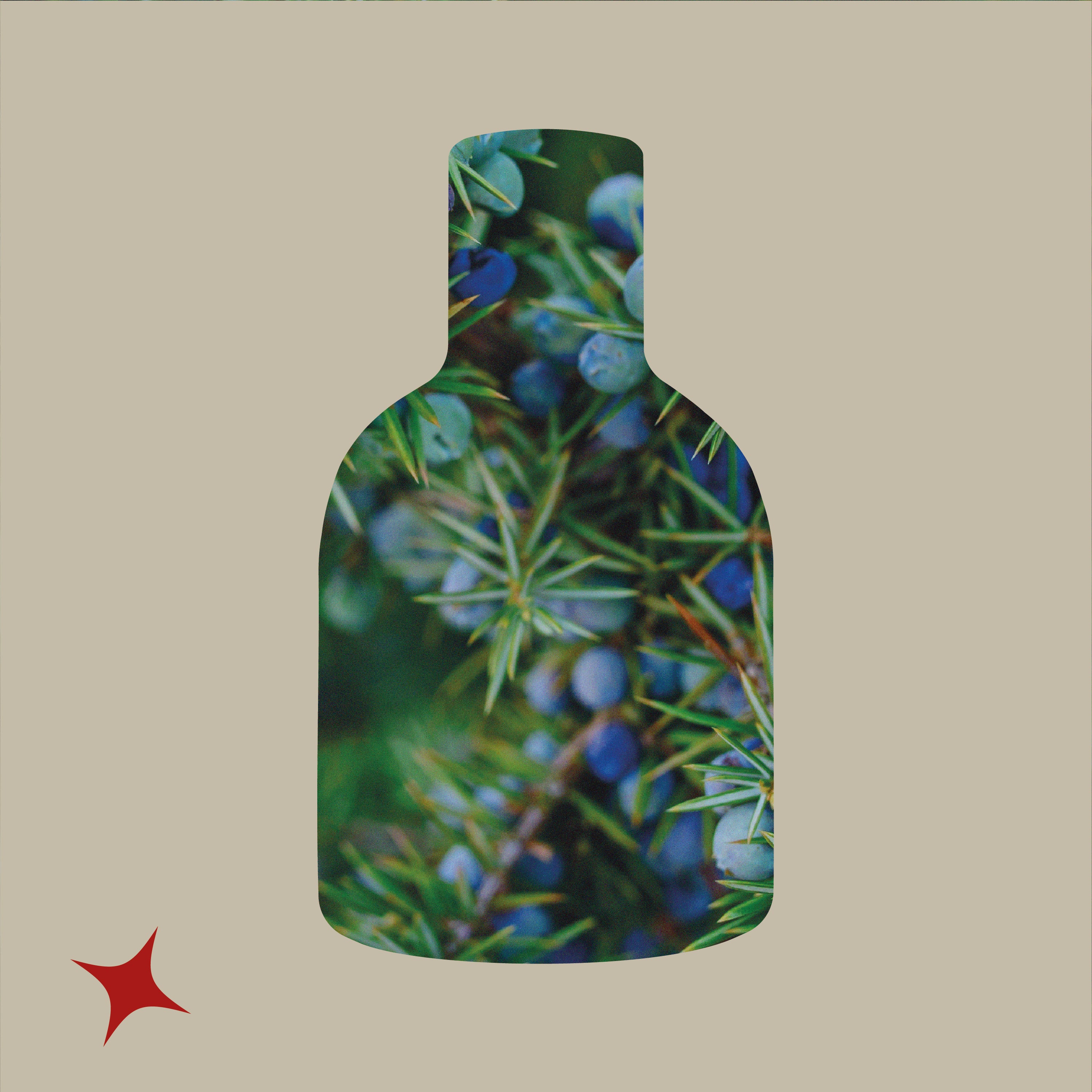 NOTA 430 - RAFFAELLO RUM