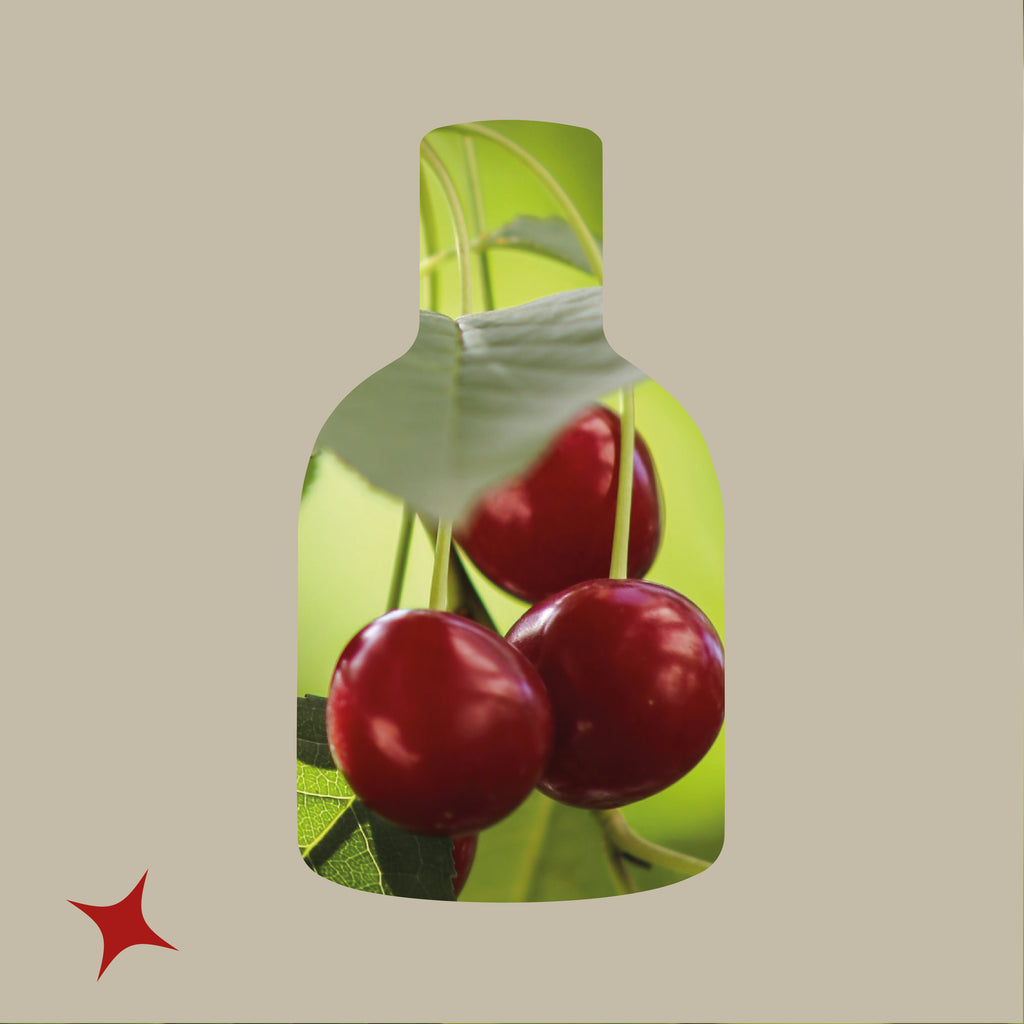 NOTA 641 - SCARLET FIZZ