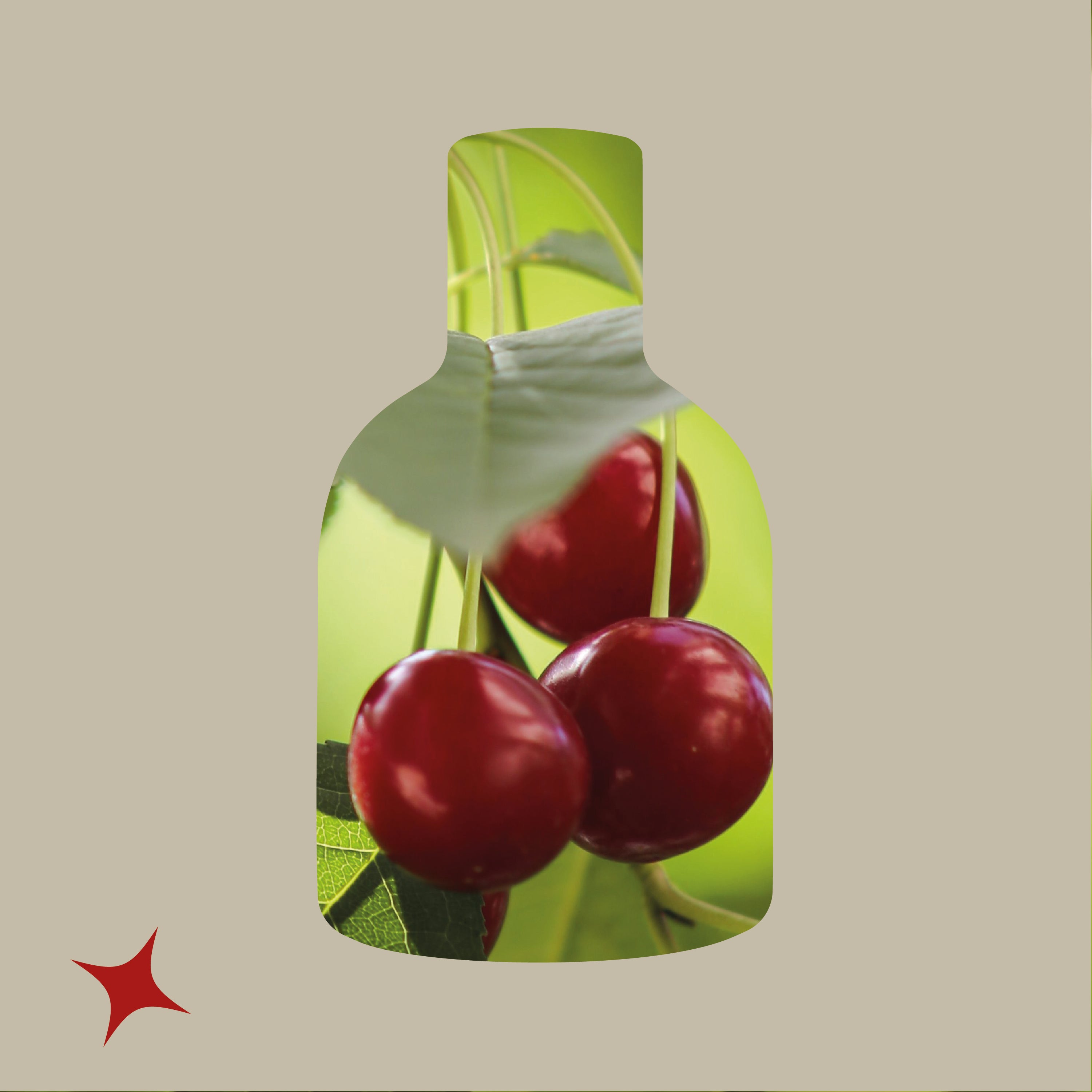 NOTA 641 - SCARLET FIZZ