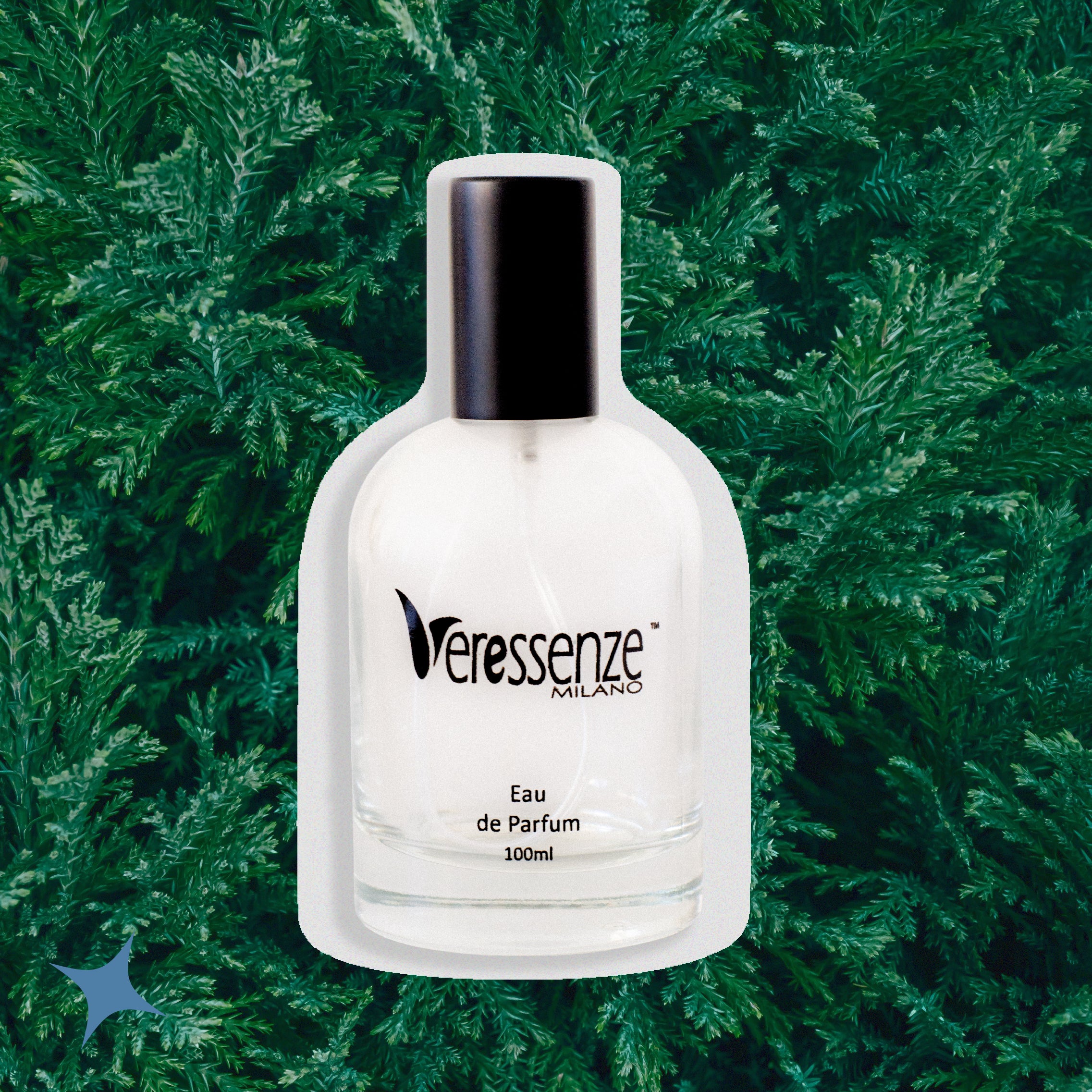 NOTA 568 - SILVER TONIC