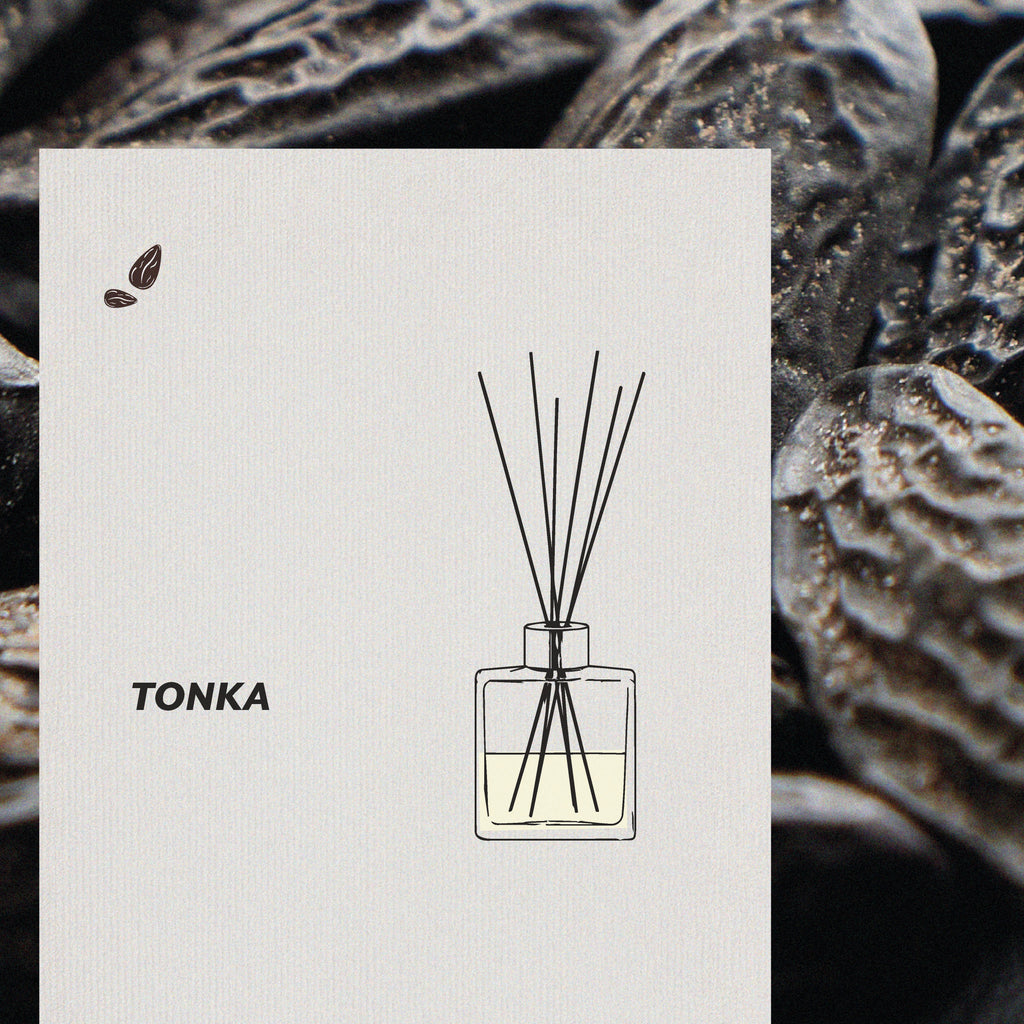 Profumatore Mikado – Tonka