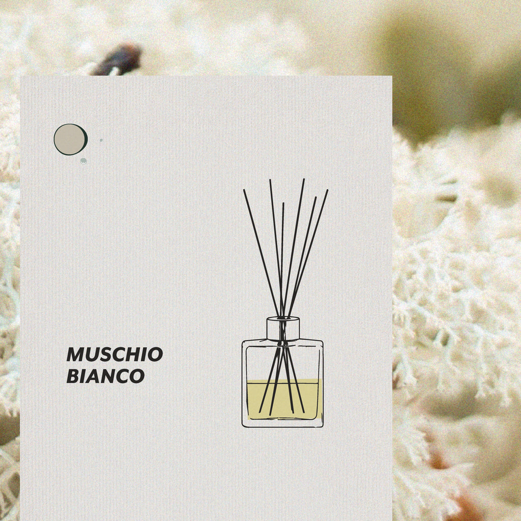 Profumatore Mikado - Muschio Bianco