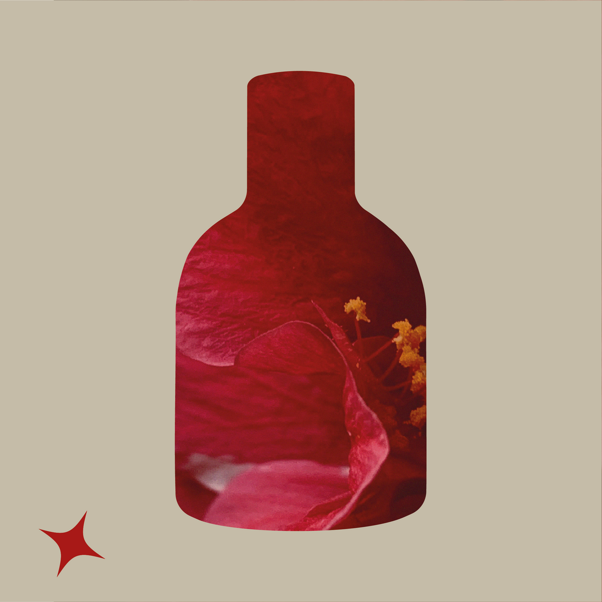 NOTA 456 - IBISCO BITTER