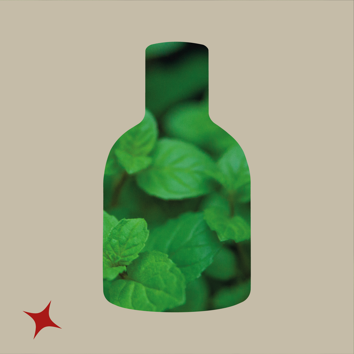 NOTA 695 - PACIFIC TONIC