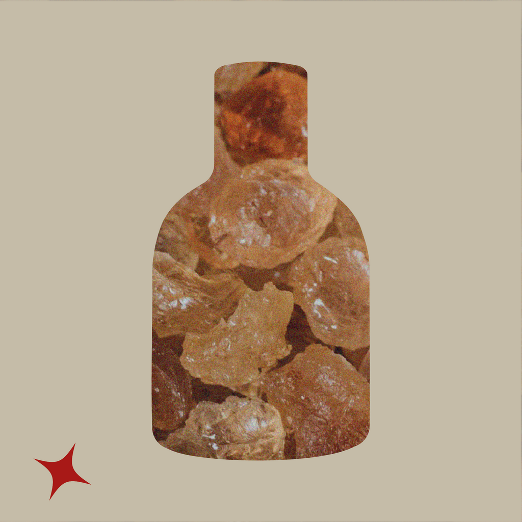 NOTA 462 - M'MANC SPRITZ