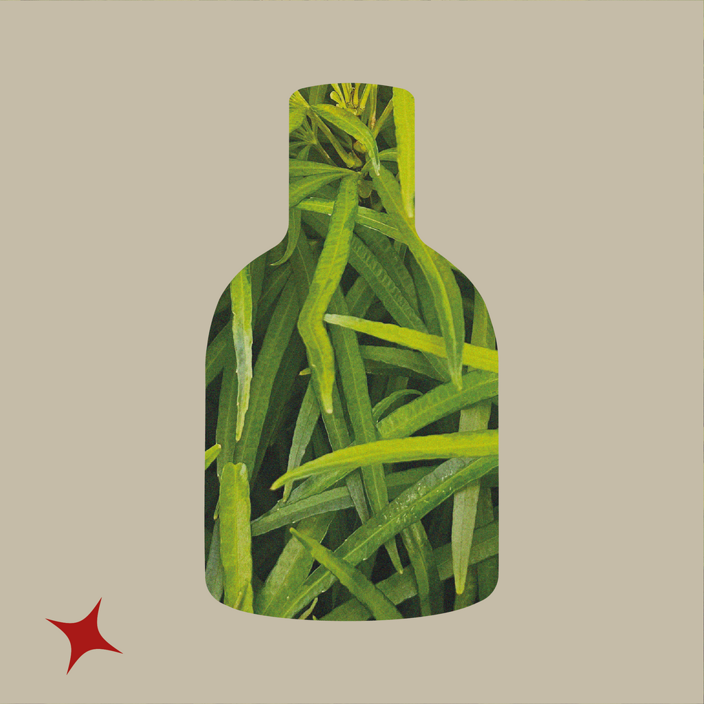 NOTA 460 -  RADICATO RUM