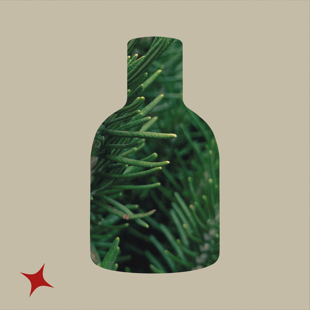NOTA 461 - RIFLESSO GIN