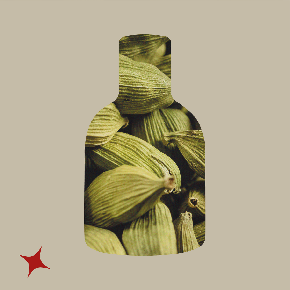 NOTA 679 -  DUBAI RUM