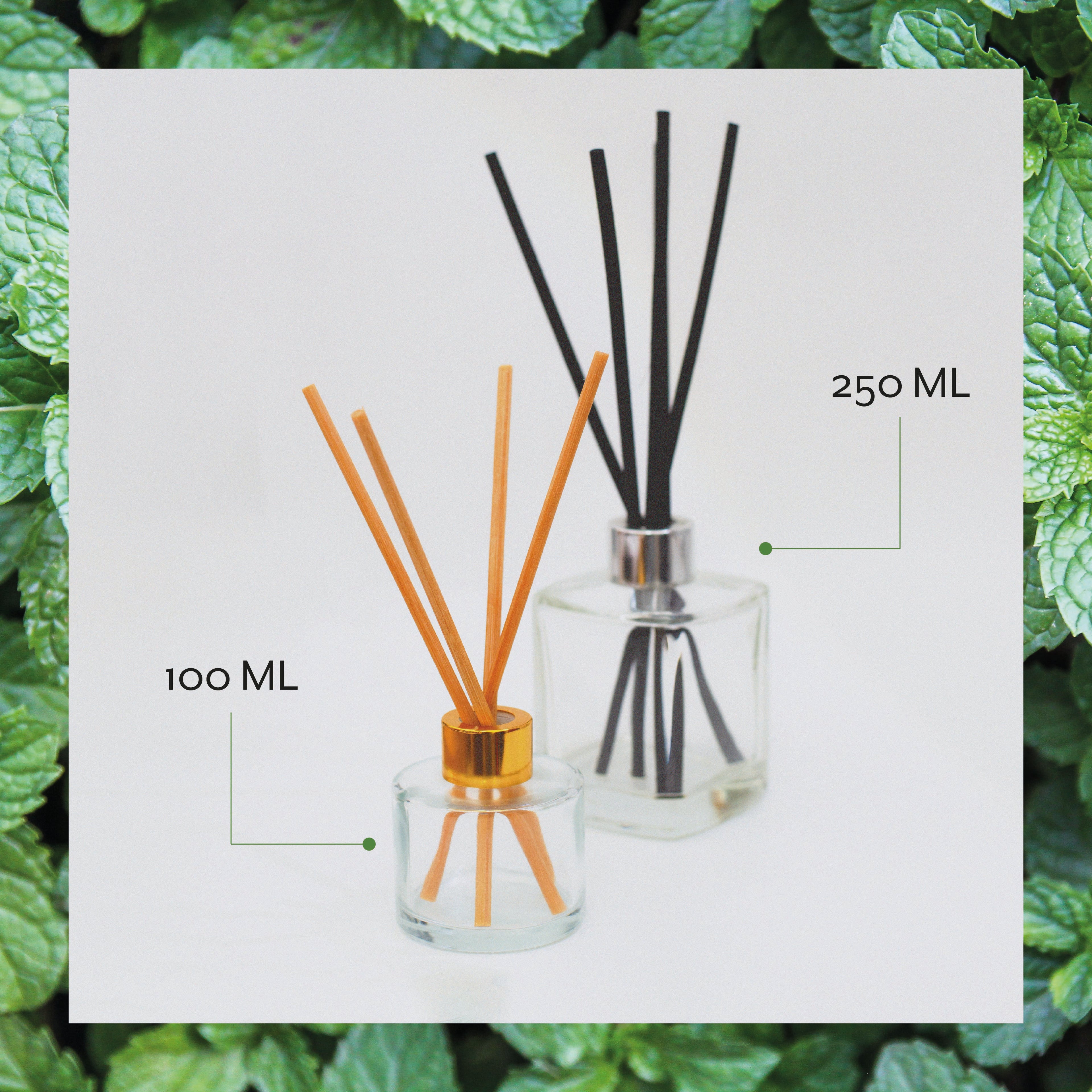 Profumatore Mikado - Menta Piperita