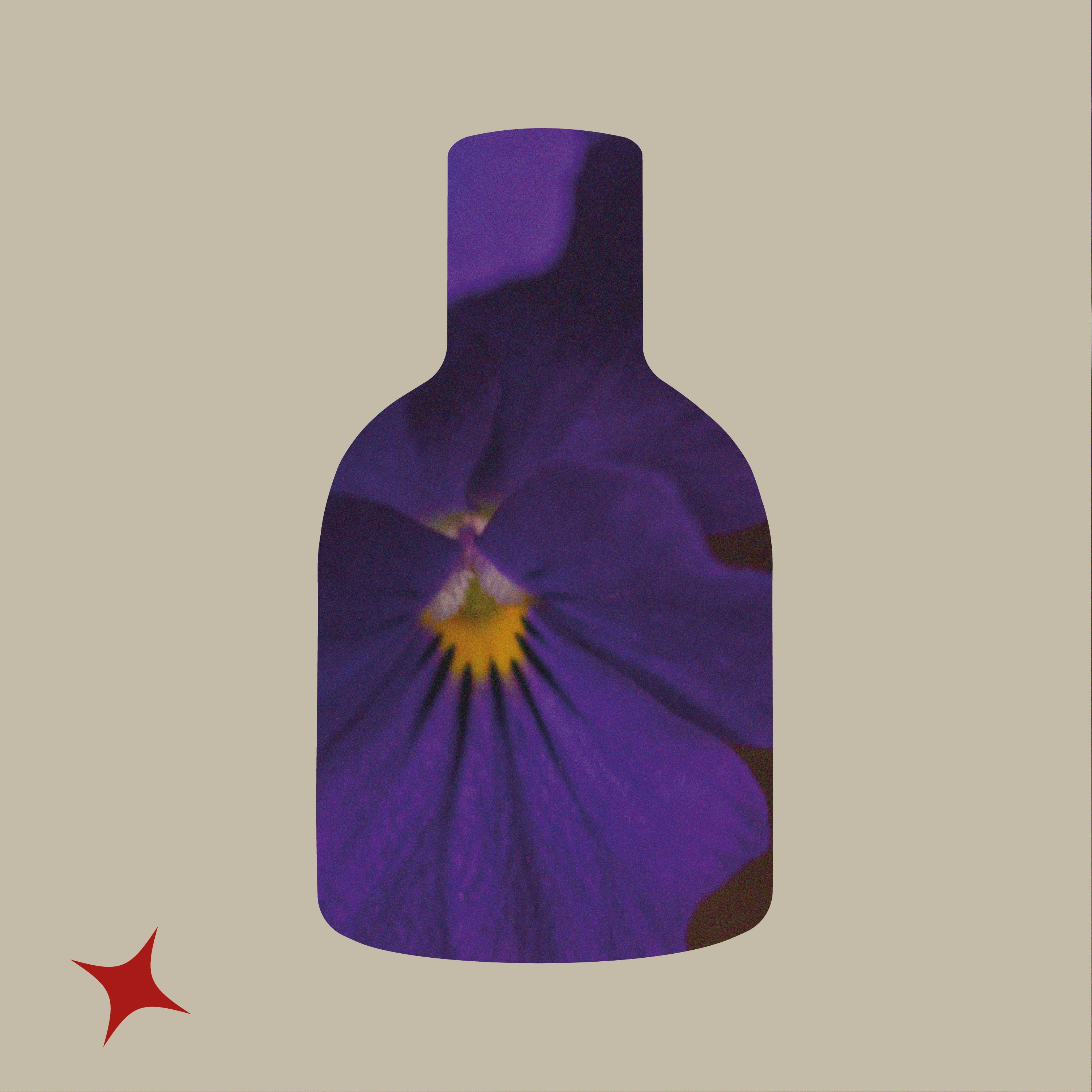 NOTA 446 - MUSK ELIXIR