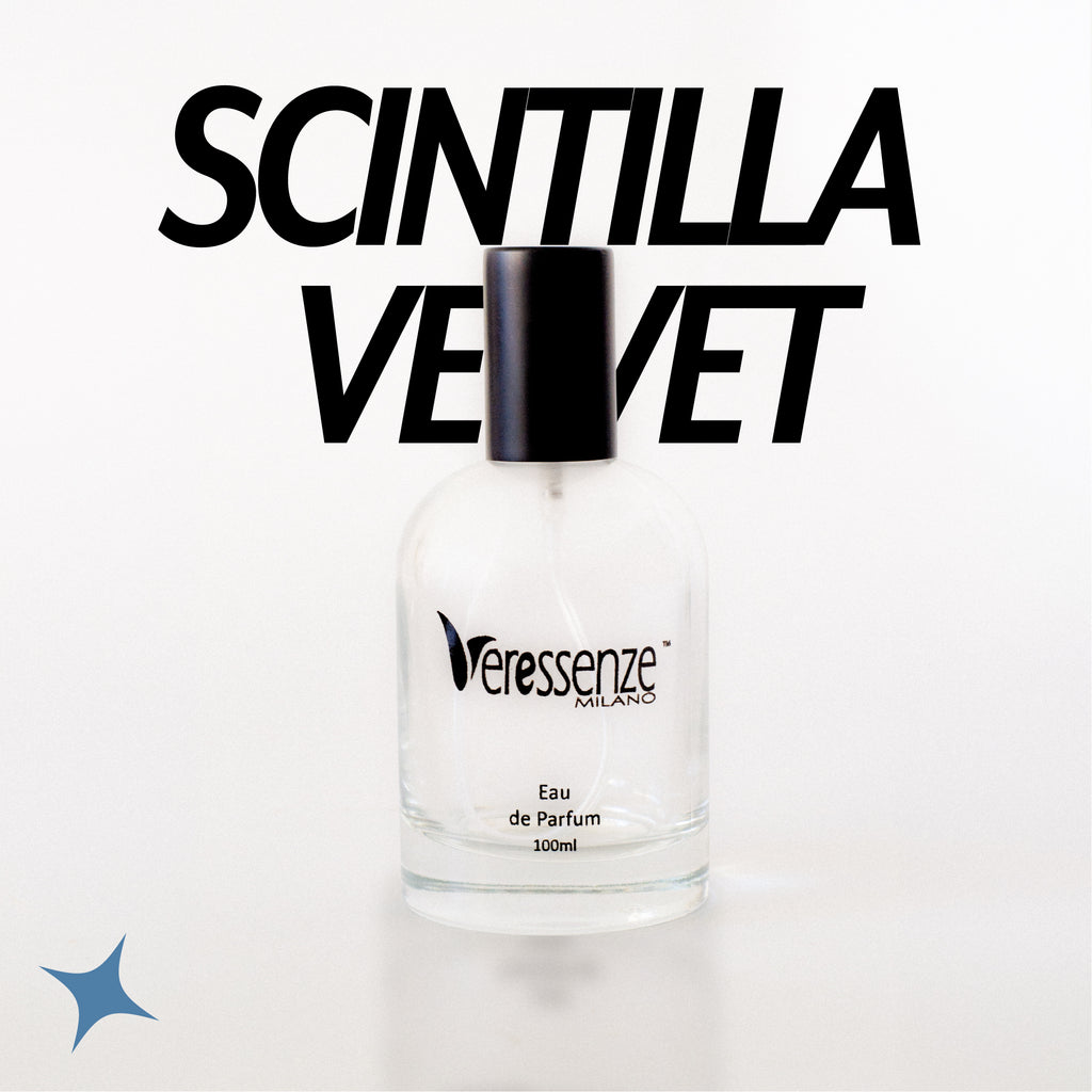 NOTA 373 - SCINTILLA  VELVET