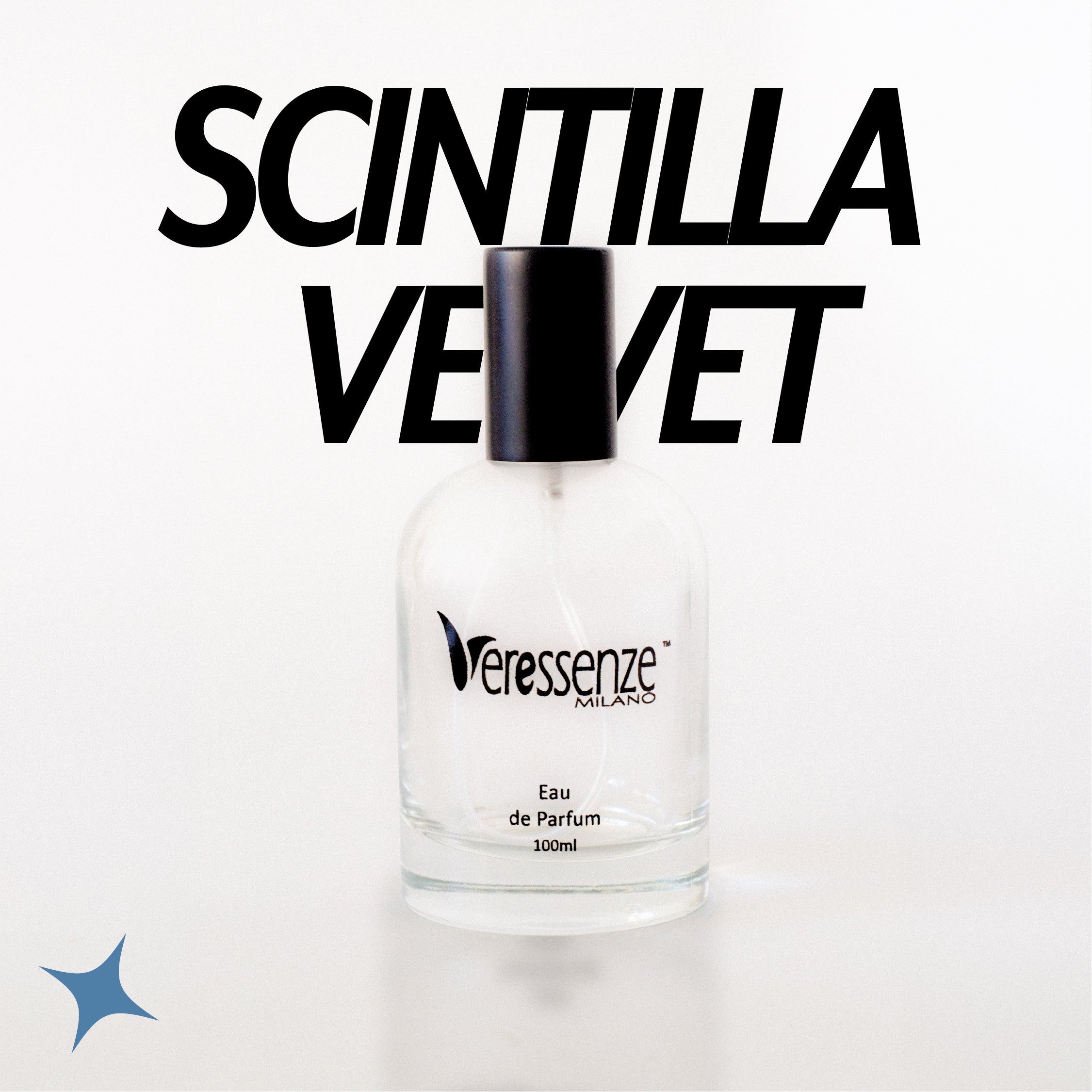NOTA 373 - SCINTILLA  VELVET