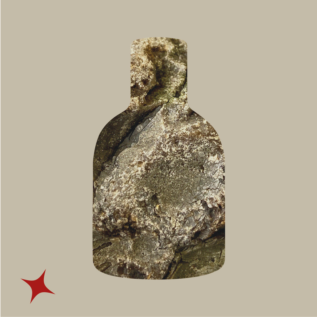 NOTA 677 -  VERMIGLIA RUM
